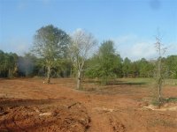 16 View looking into the pasture.  2004.jpg