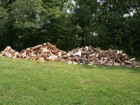 Firewood_001_800x600.jpg