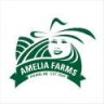 Amelia Farms