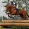 eventer79