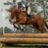 eventer79