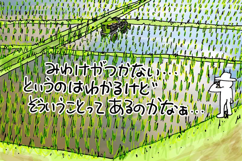 青ガエルìll.jpg