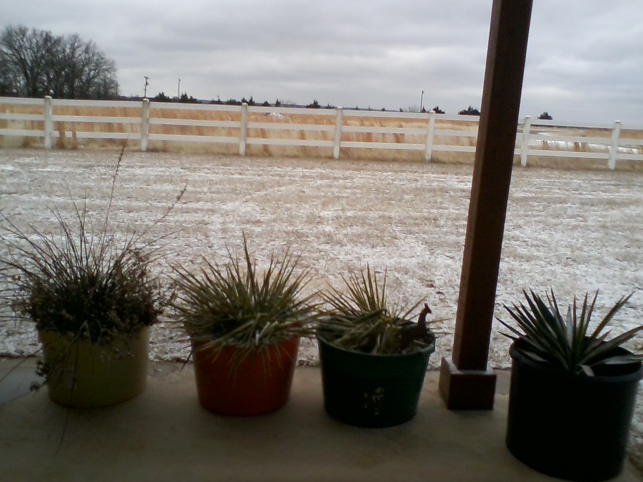 0111201025-00.jpg