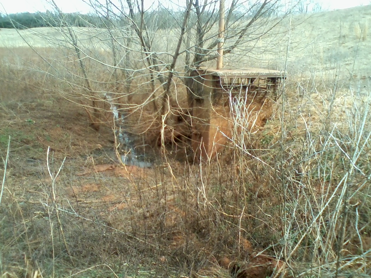 0307191239-00.jpg