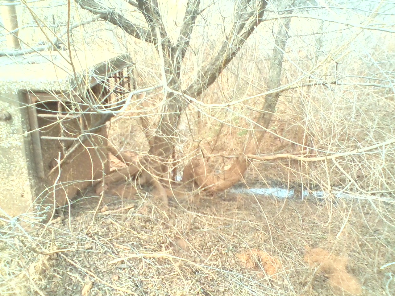 0307191242-02.jpg