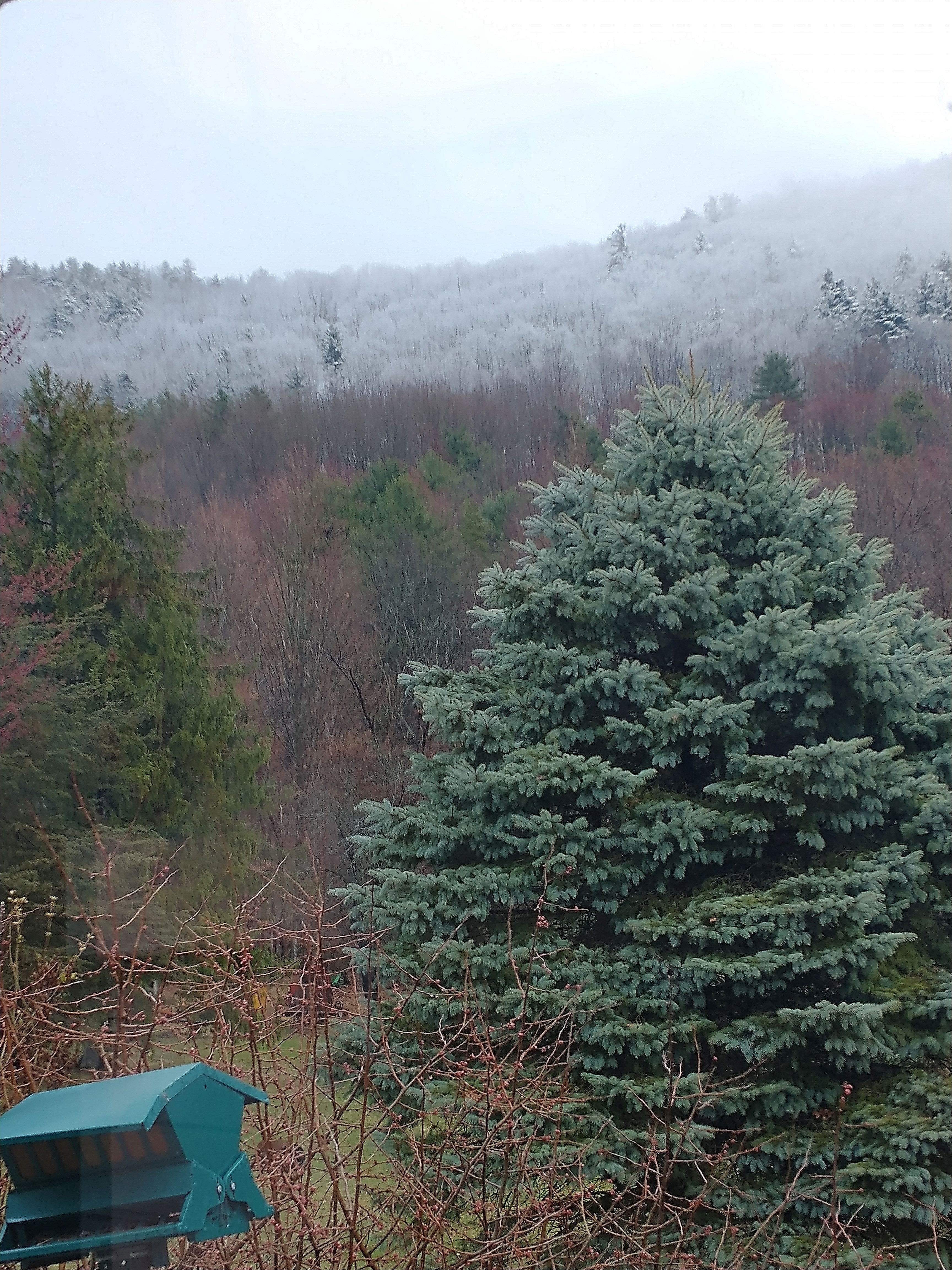 04 11 25 pic 3.jpg