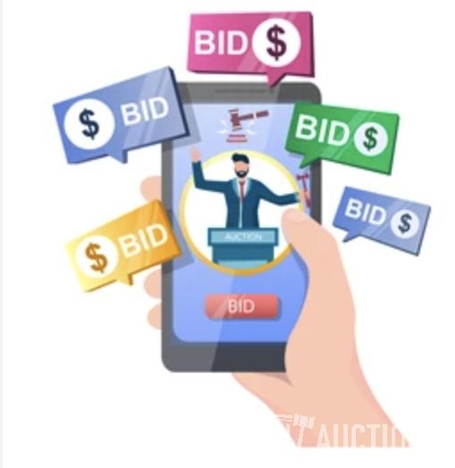 THIS WILL BE A LIVE VIRTUAL ONLINE AUCTION! (A53342)