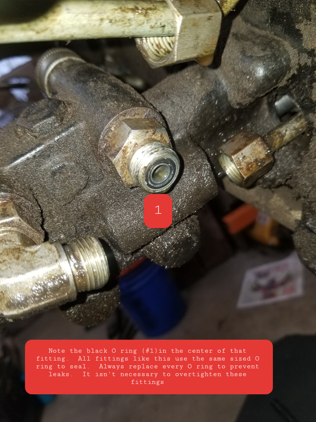 0B273694-C88D-4CE1-A558-D94827003B66.jpeg