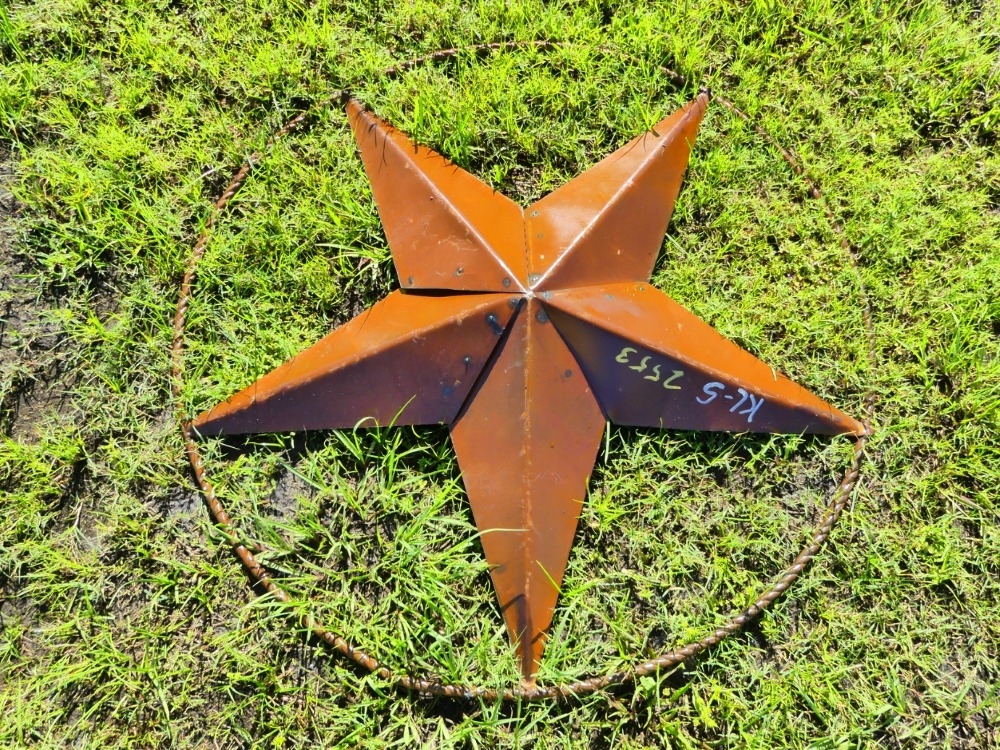 Star Sign (A53316)