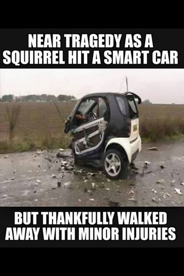 0D1D96A9-EE1A-43D7-BE9F-243A2B56909E.jpeg