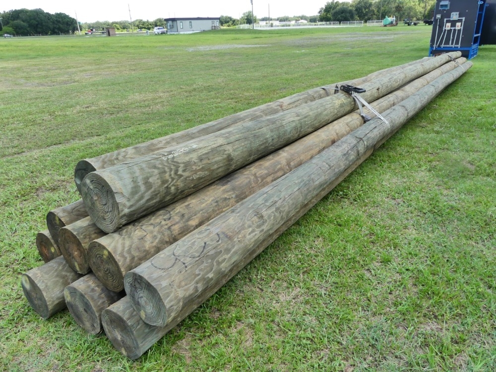Assortment of Light Poles (A50121)