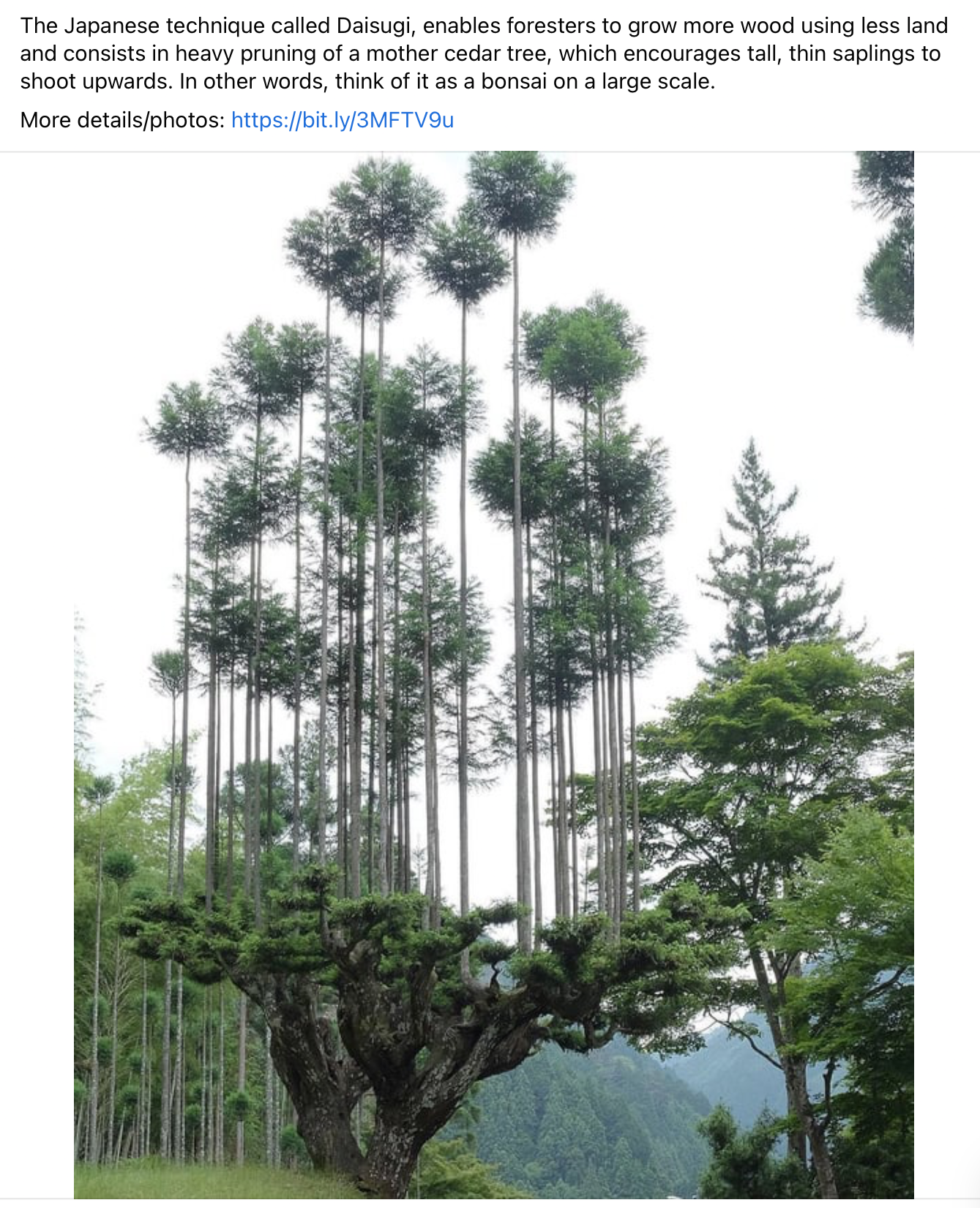0F24F984-871F-4DC6-82C5-168F37F27E36.png
