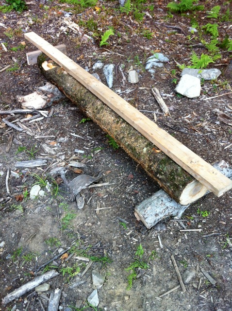 1 2by on log.jpg