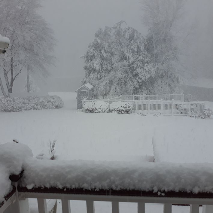 1-3-21 Snow.jpg