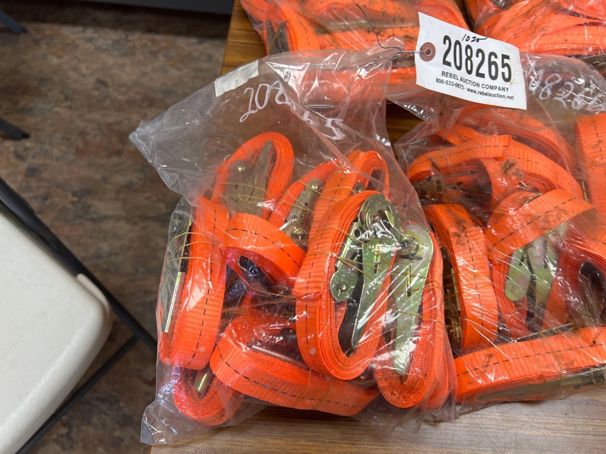 (10) UNUSED SDLANCH 2.5CMX3M RATCHET STRAPS (A58375)