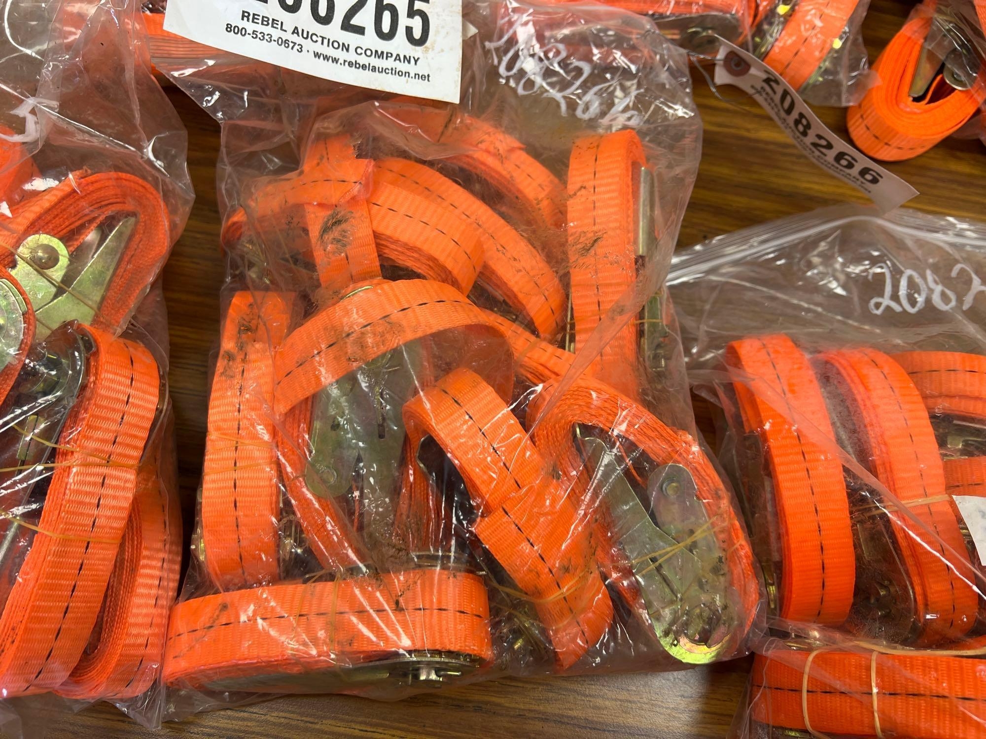 (10) UNUSED SDLANCH 2.5CMX3M RATCHET STRAPS (A58375)