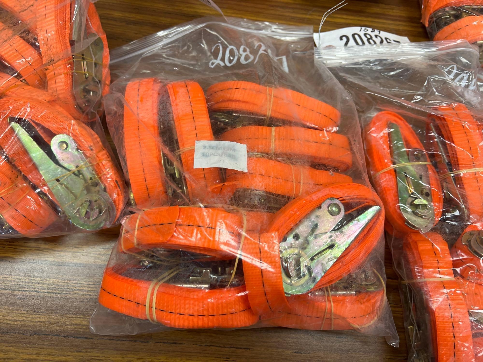 (10) UNUSED SDLANCH 2.5CMX3M RATCHET STRAPS (A58375)