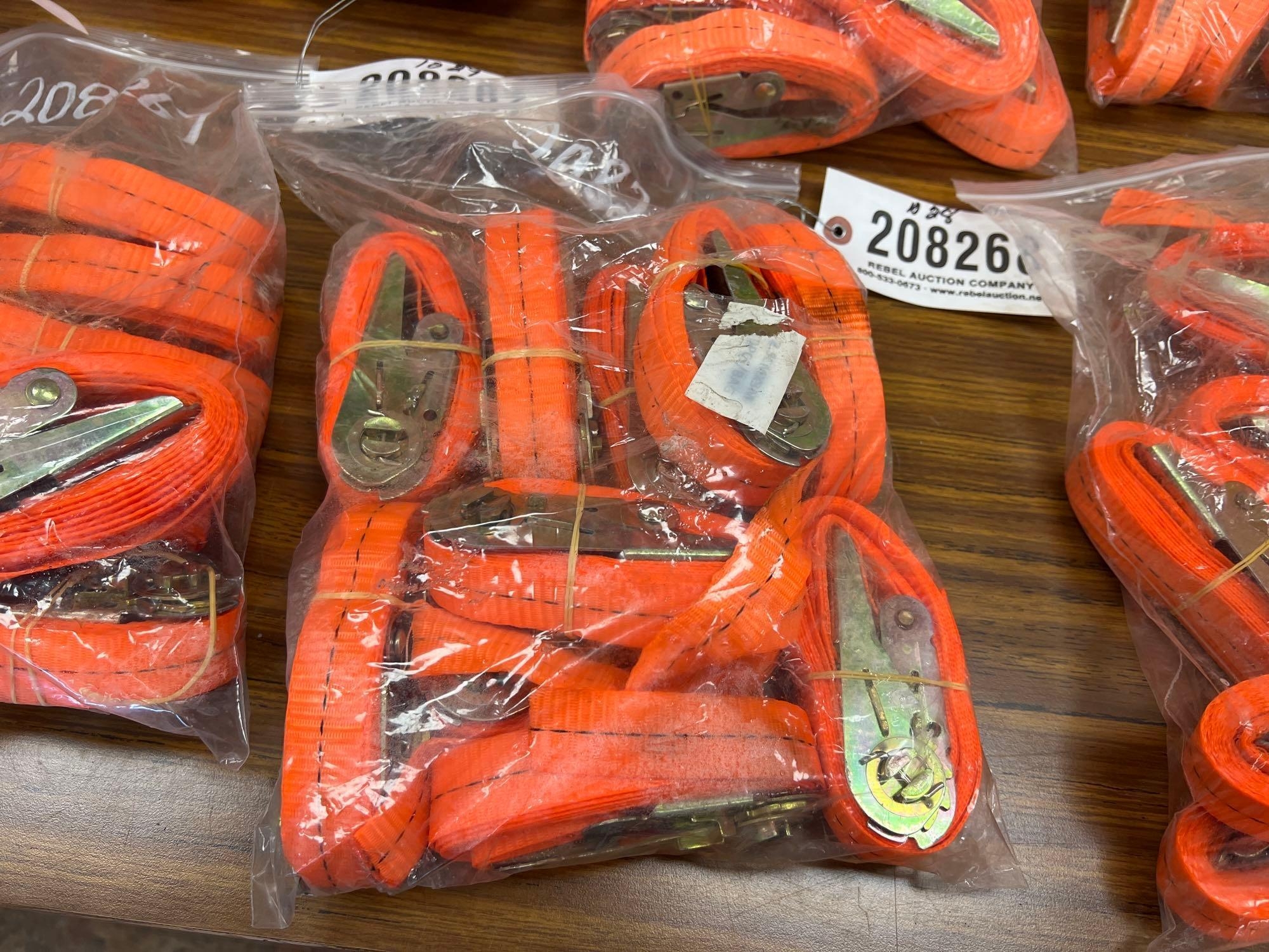 (10) UNUSED SDLANCH 2.5CMX3M RATCHET STRAPS (A58375)