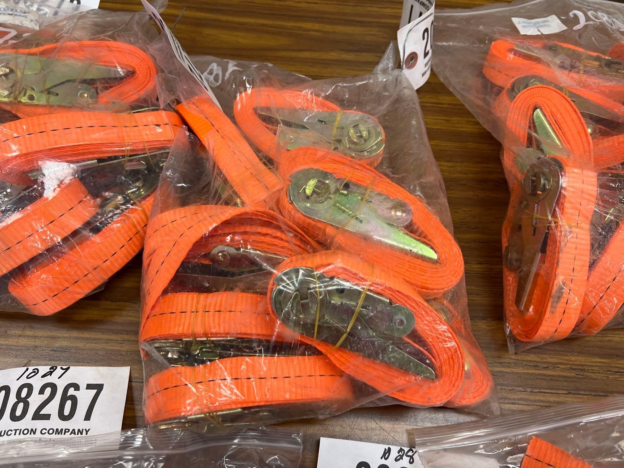 (10) UNUSED SDLANCH 2.5CM X 3.5M RATCHET STRAPS (A58375)