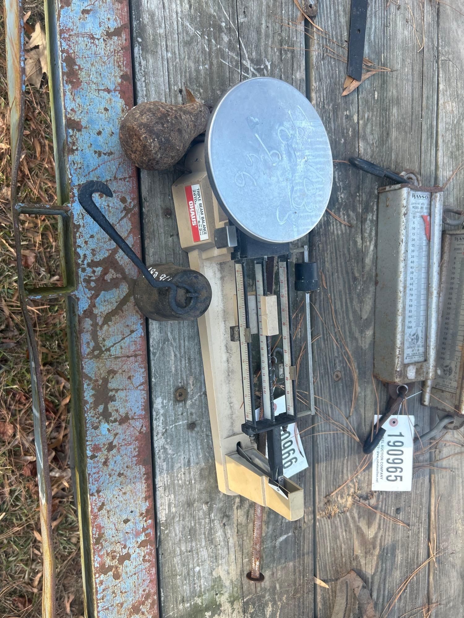 SCALES, PEA & BALANCE BEAM SCALES (A58374)