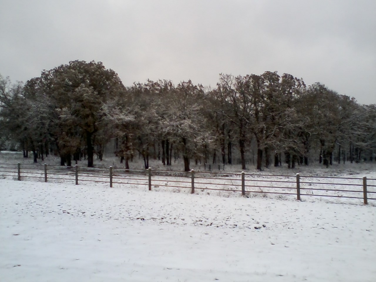 1112181349-02.jpg