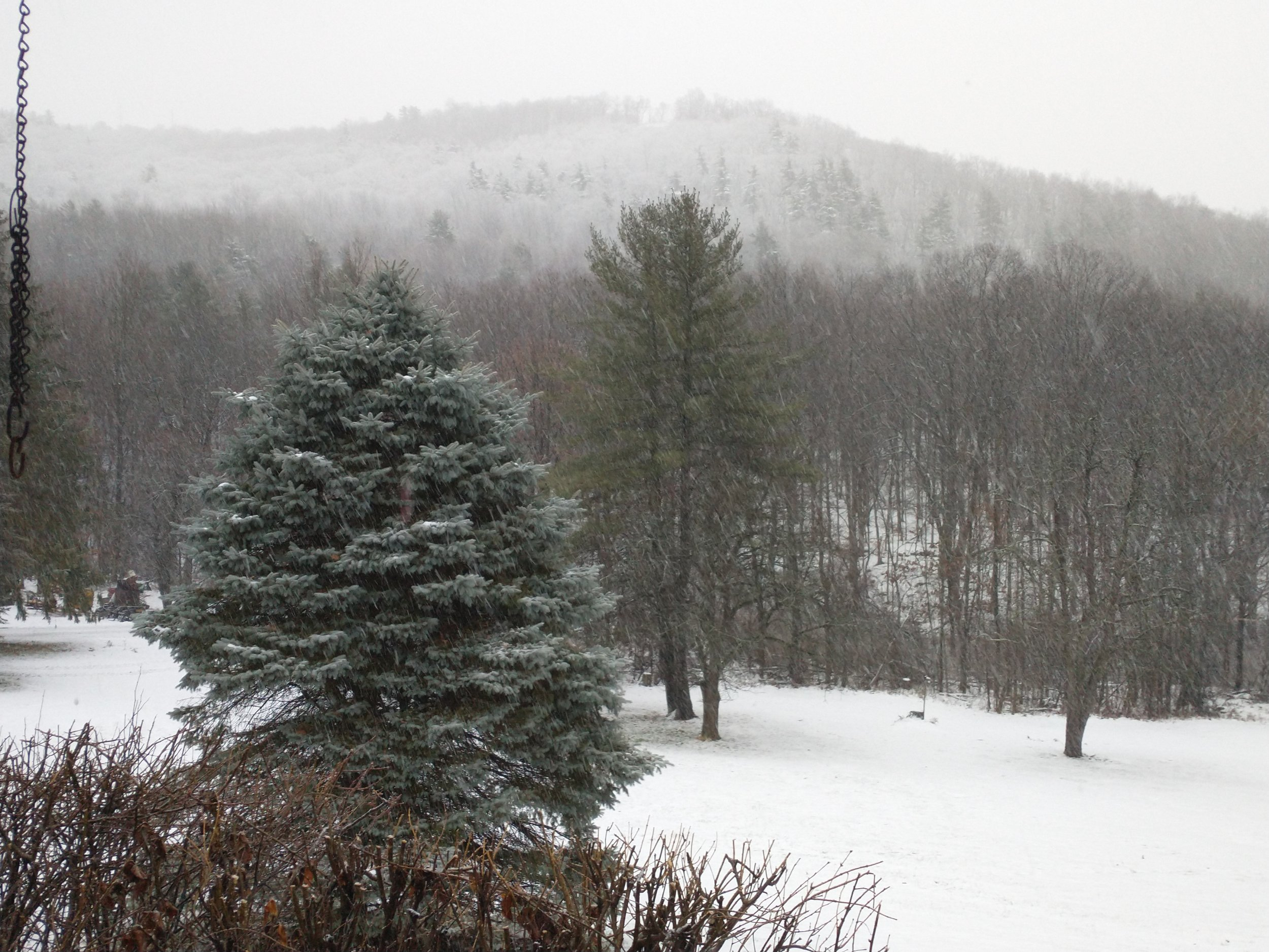 16 dec 2022 start of snow.jpg