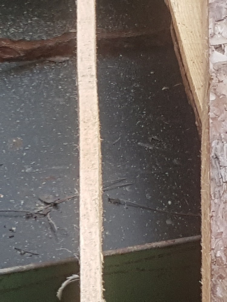 1630113562955.jpeg