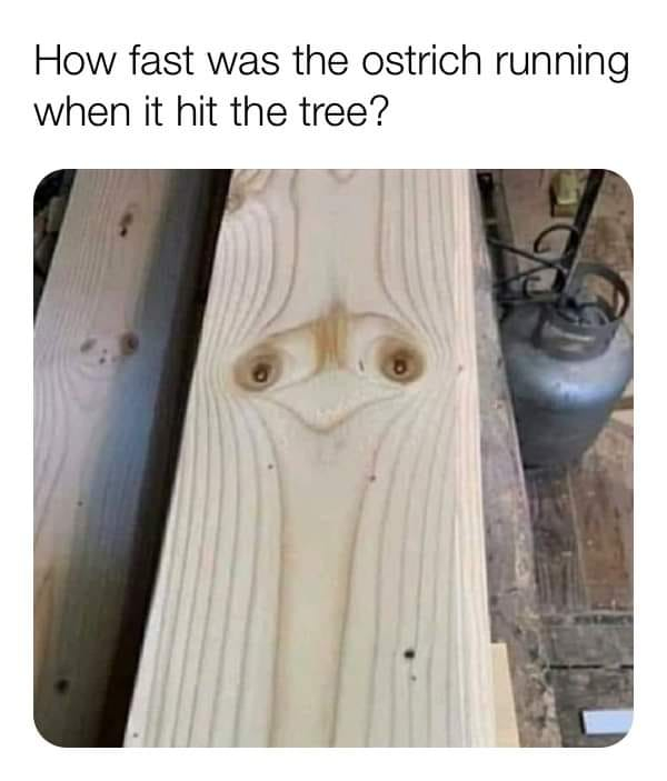1631403314698.jpeg