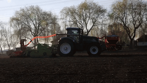 1631731601612.gif