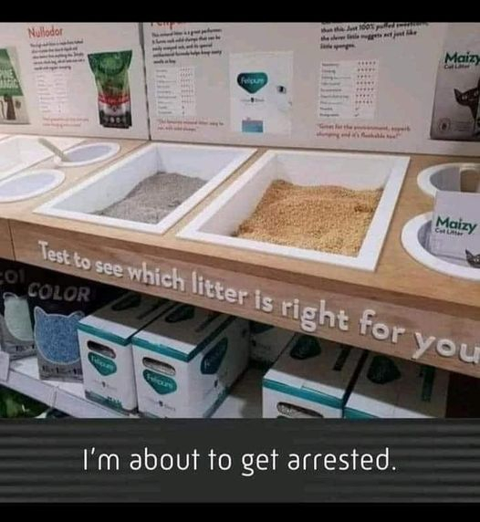 1634986954980.jpeg
