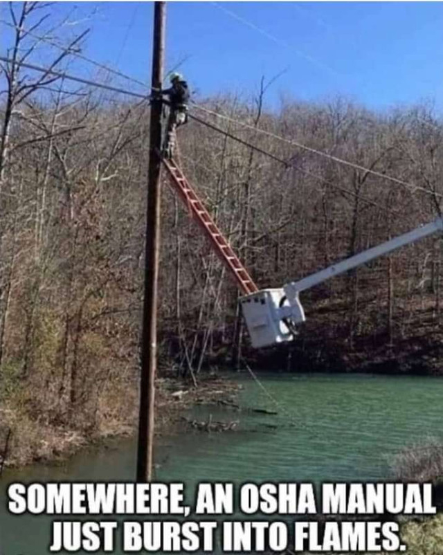 1635456062253.jpeg