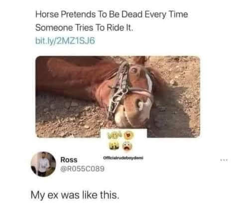 1640890734280.png