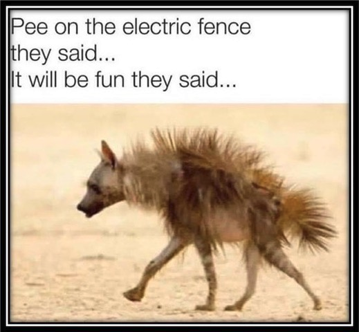 1666714174372.png