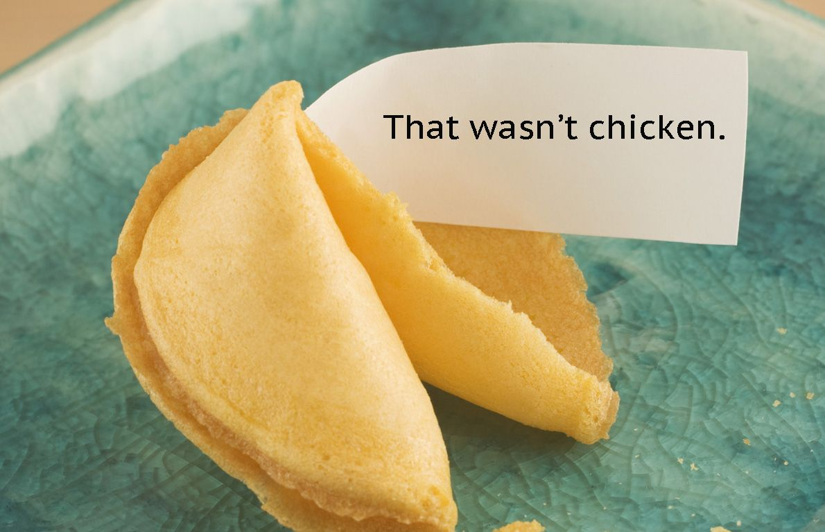 1675650283680.png