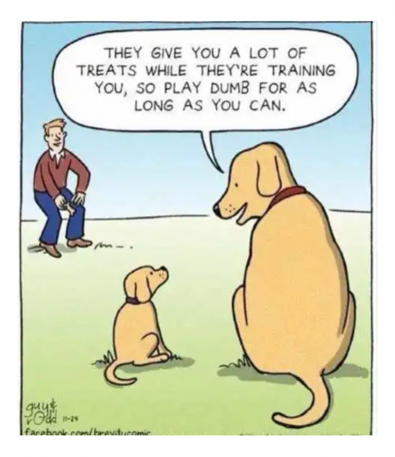 1692369519752.png