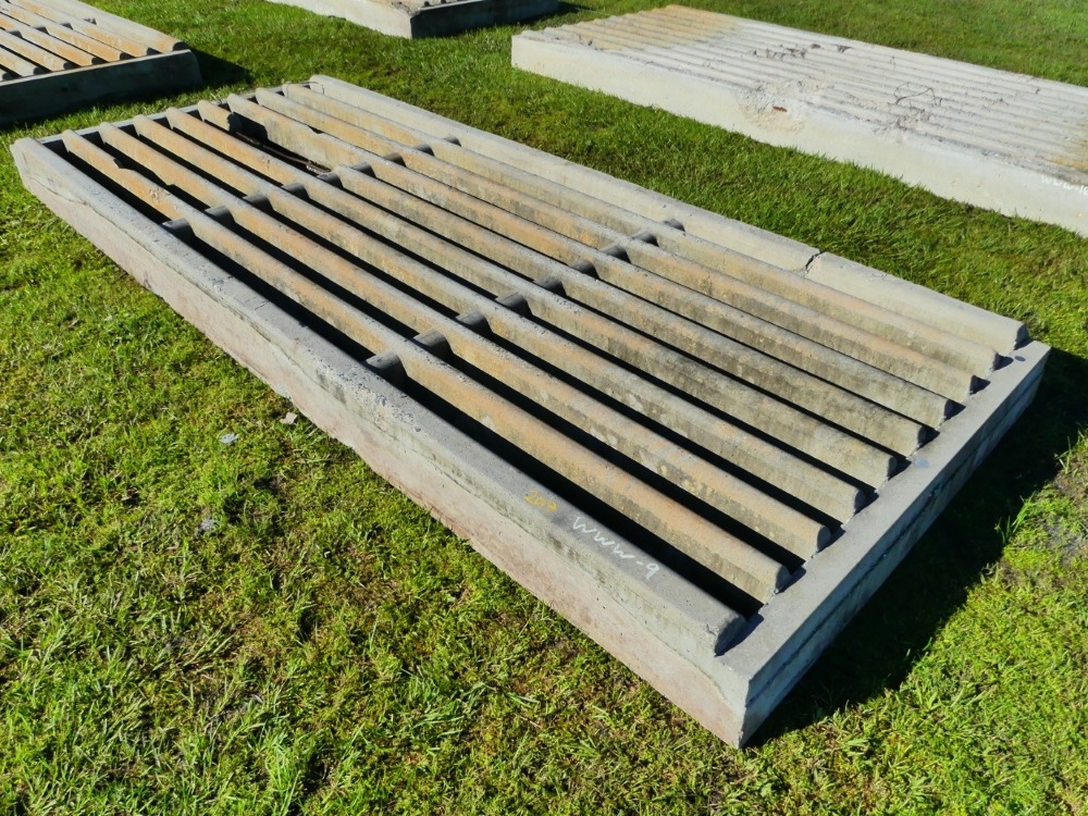 16' Cattle Guard (A53316)
