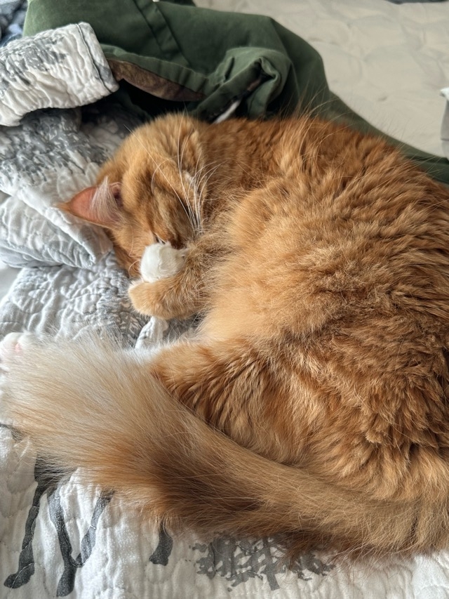 1706382019936.jpeg