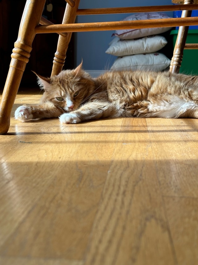1706545753102.jpeg