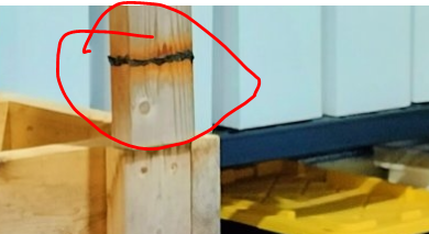 1707843384256.png