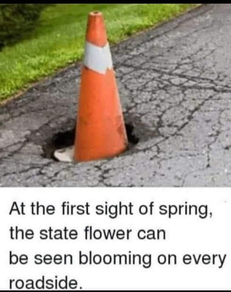1709855663559.jpeg