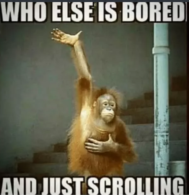 1726138287861.png