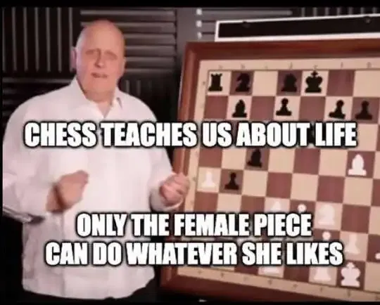 1753412542491.png