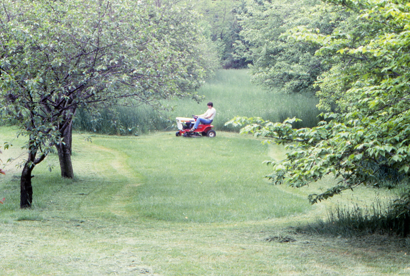 19750800 IMG_0079.jpg