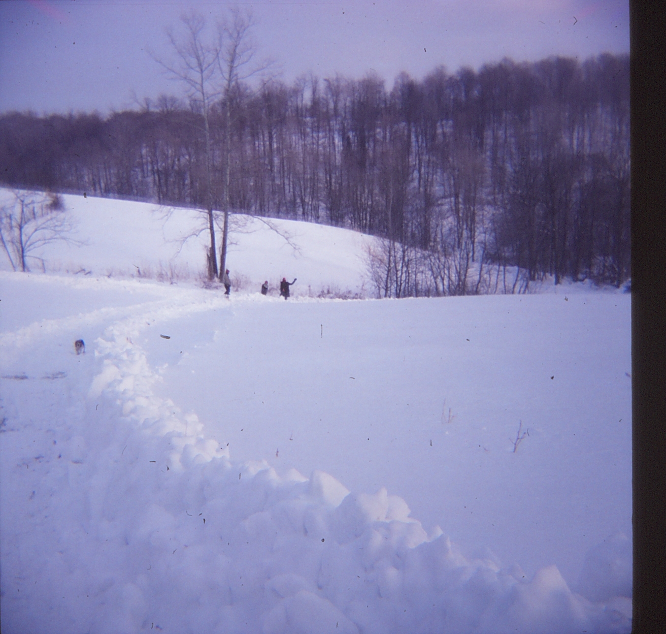 19770123_Snow__0_OH_Farm_.jpg