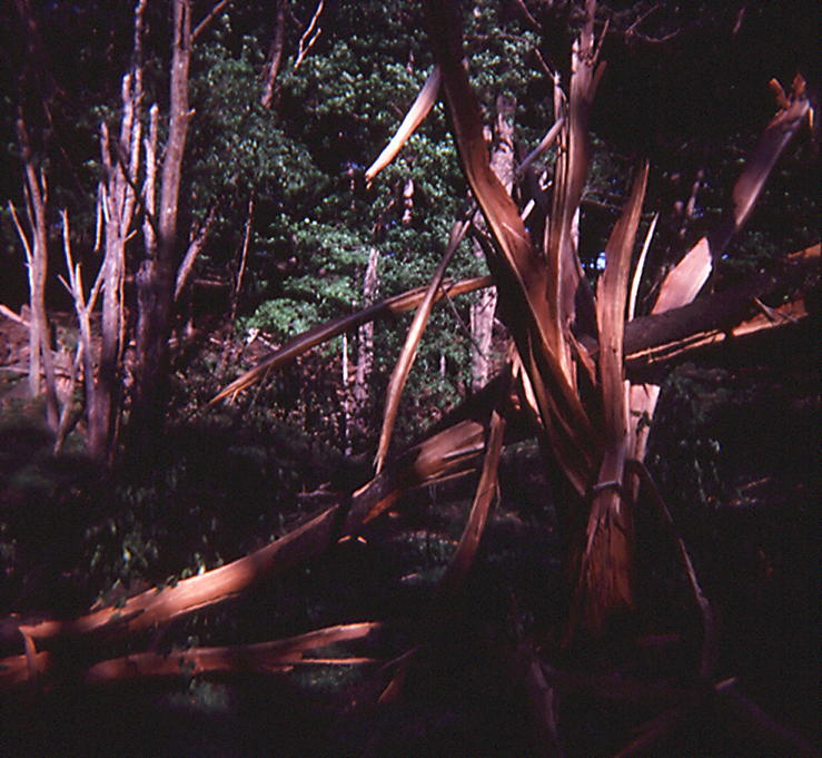 19770500_farm_Image005.jpg