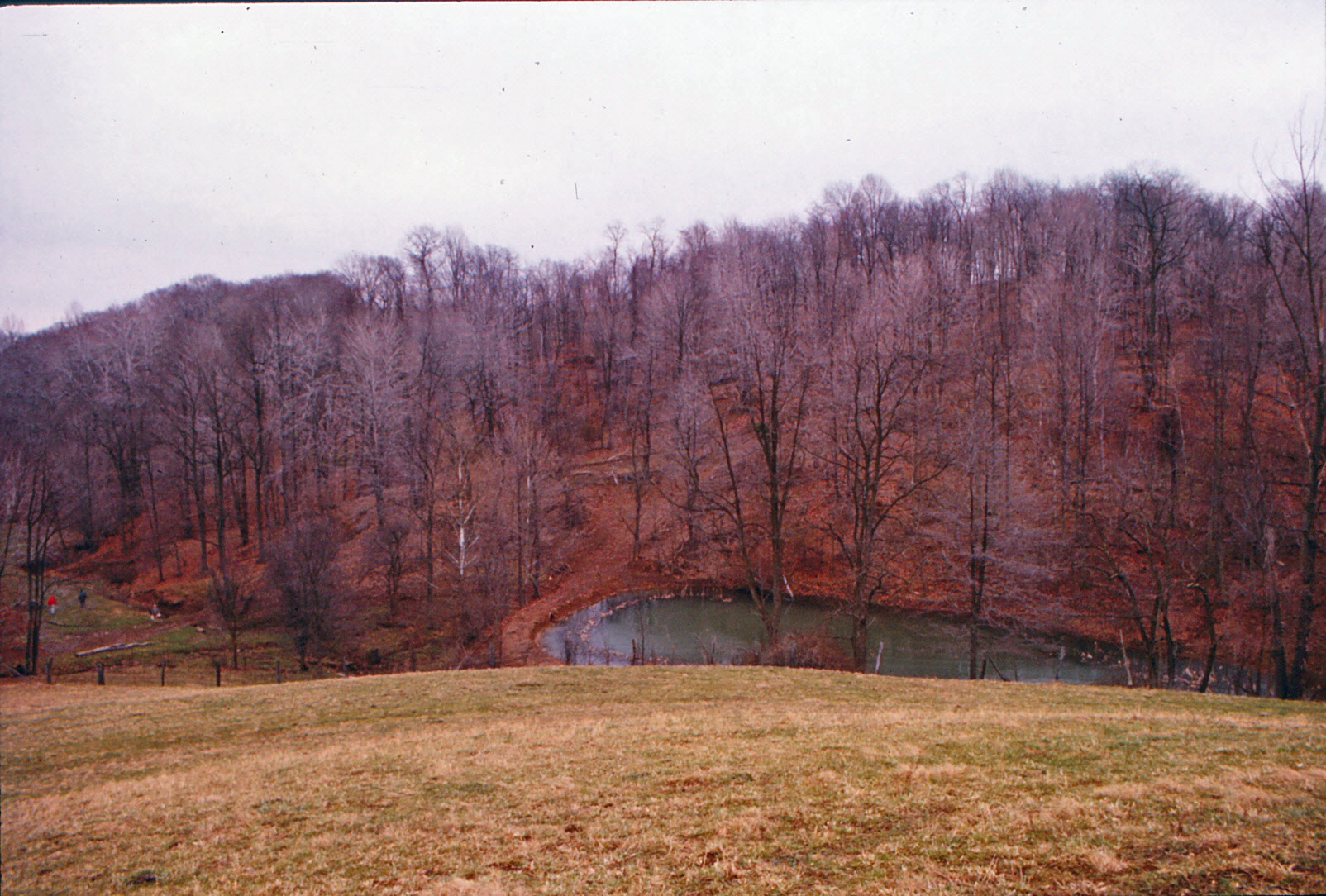 19771100_OH_Farm_Pond_IMG_0017_edited-1.jpeg