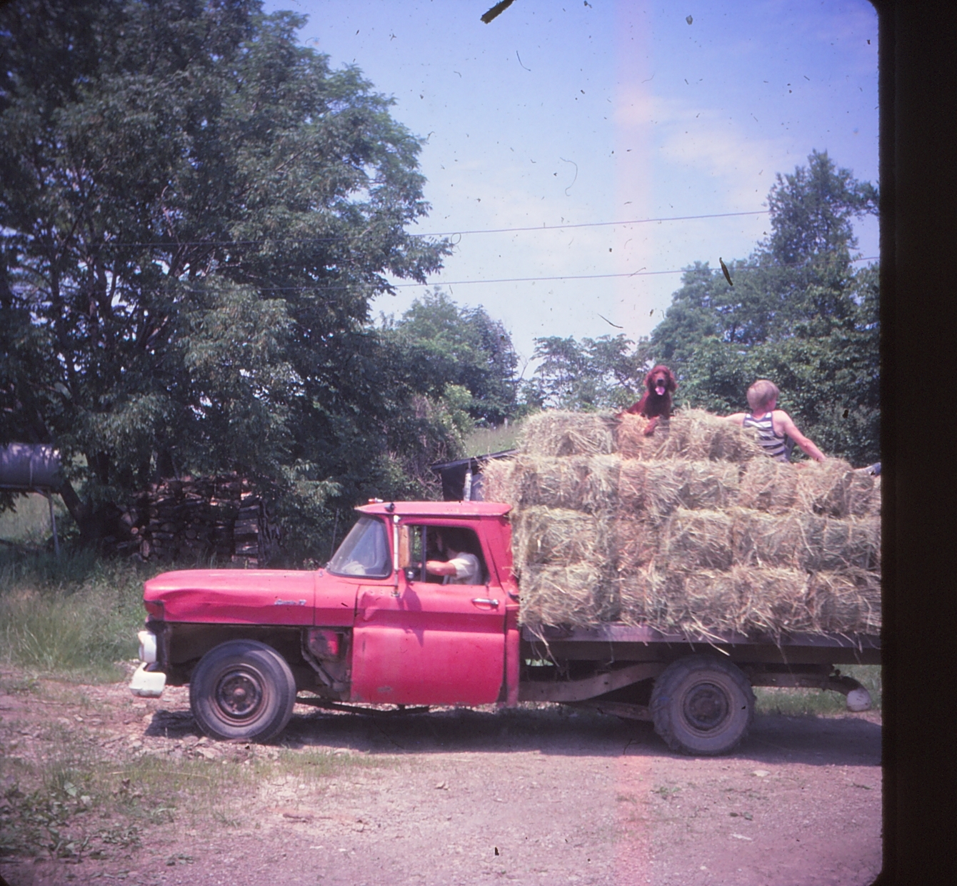 1980_FamilySlides_Farm_20250821_0088.jpg