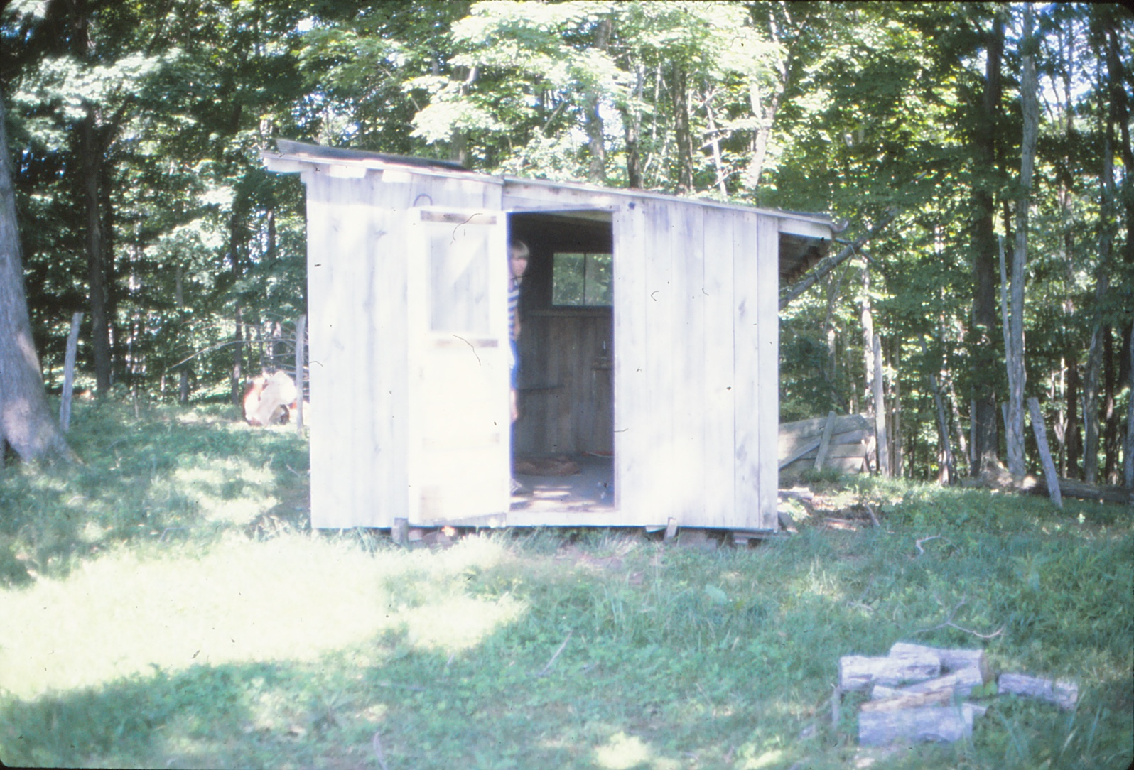 1981_IMG_20151119_0407_cabin.jpeg