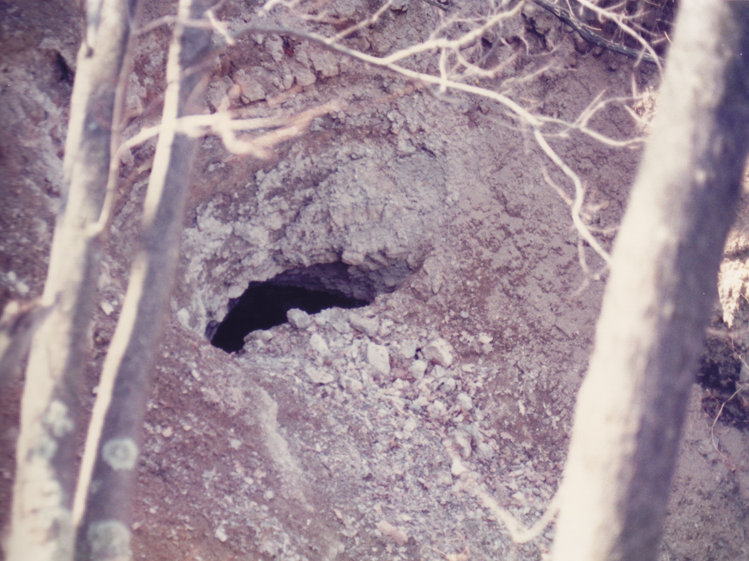 19860329_0012_OH_standingstonetunnel.jpg