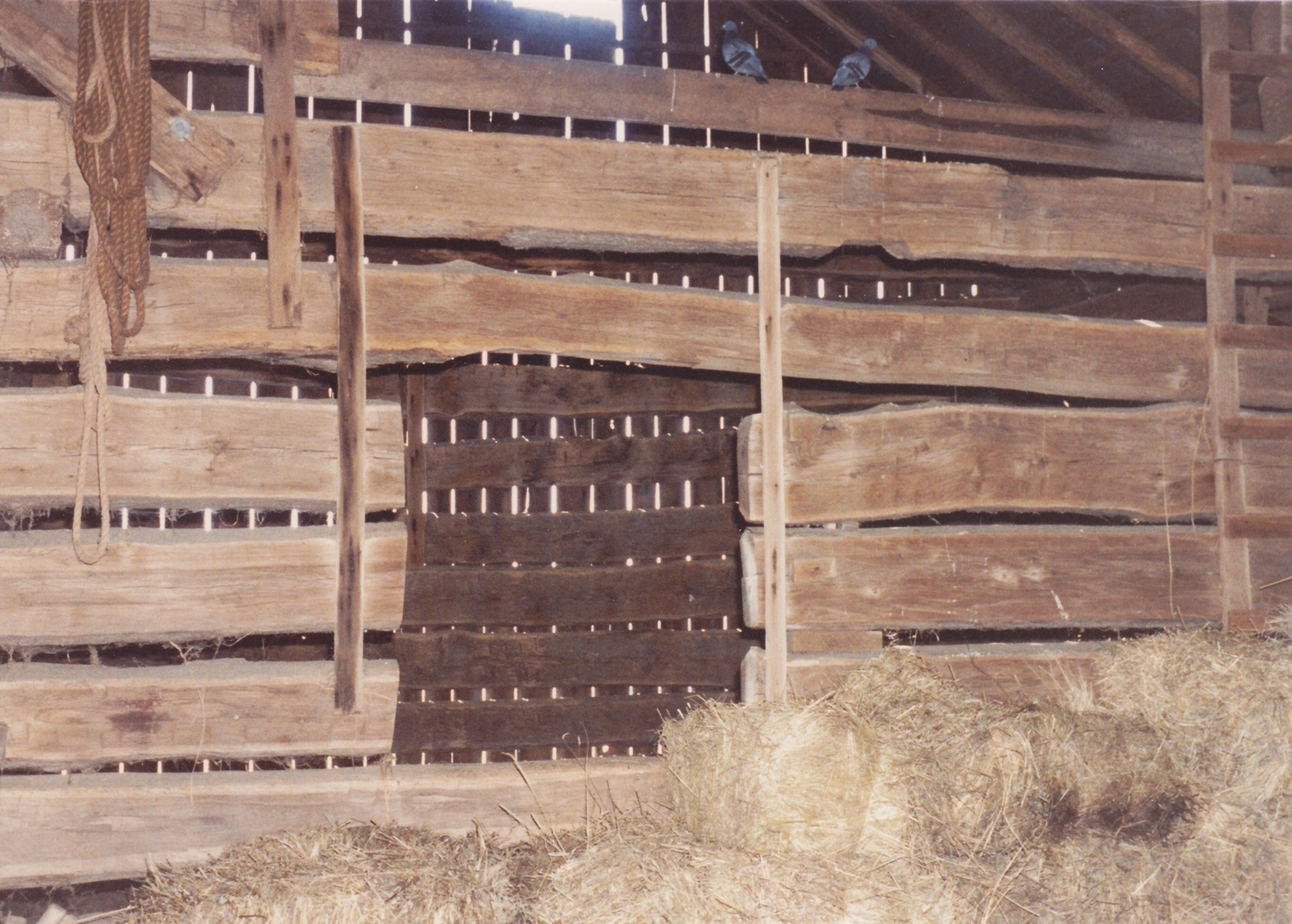 19880214_OH_pn_0020.jpeg